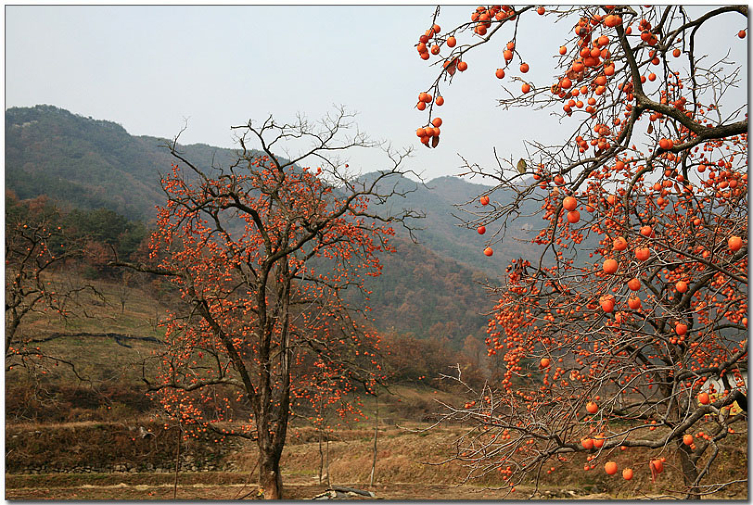 ����ũ��� ����